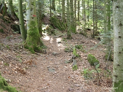 Le sentier reprend son ascension